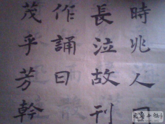 IMG0194A.jpg