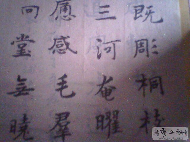IMG0197A.jpg