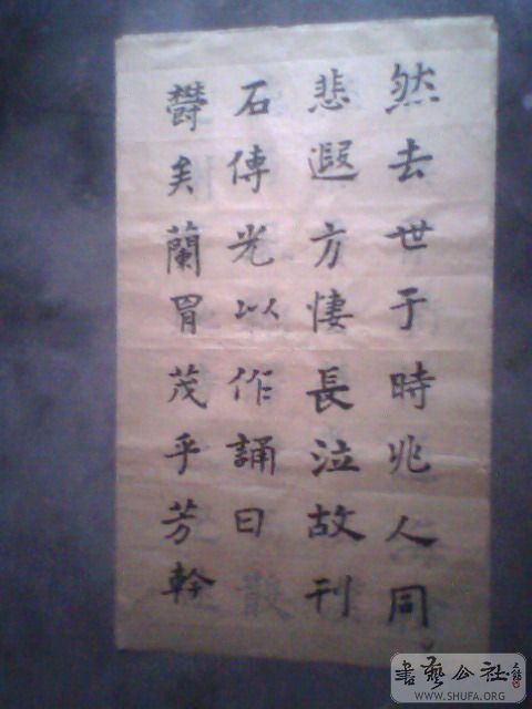 IMG0204A.jpg
