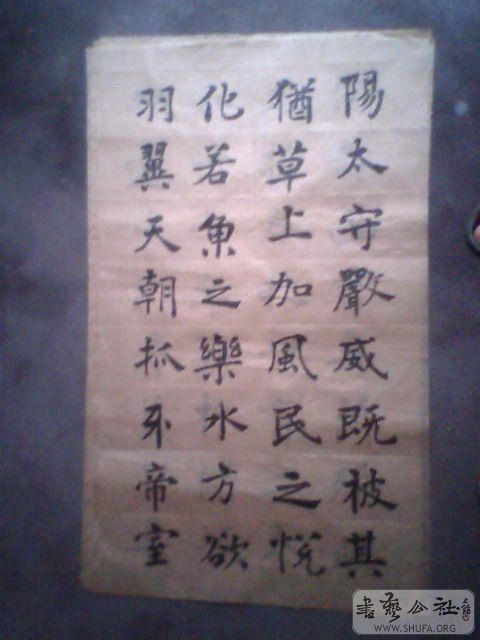 IMG0208A.jpg