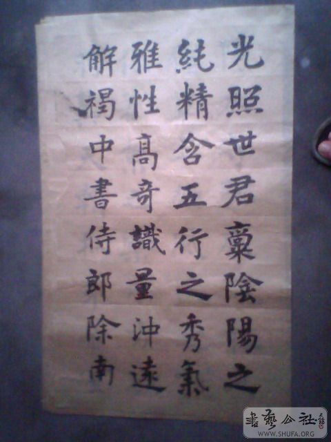IMG0209A.jpg