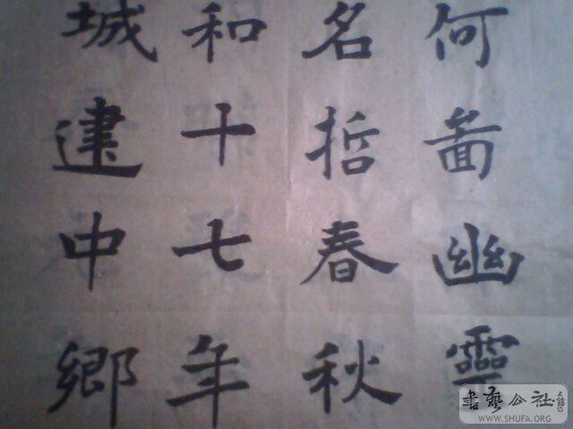 IMG0187A.jpg