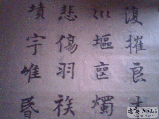 IMG0198A.jpg