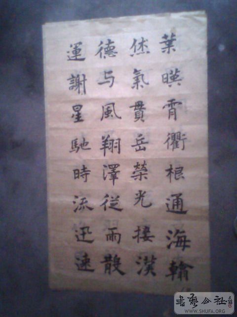 IMG0203A.jpg