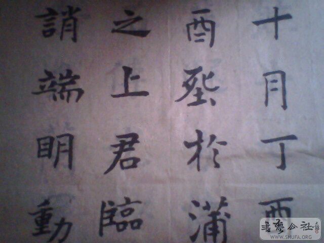 IMG0191A.jpg