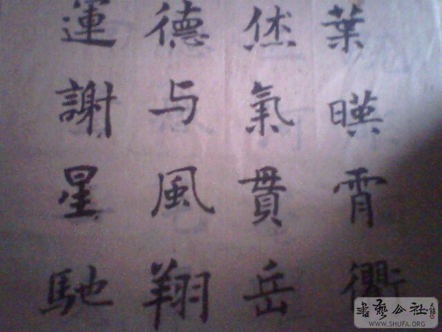 IMG0195A.jpg
