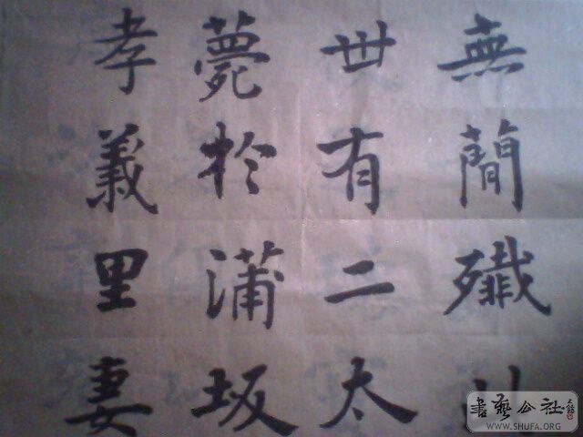 IMG0188A.jpg