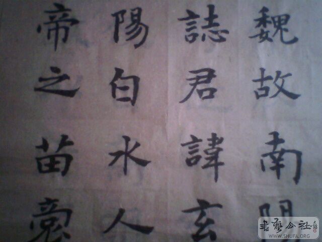 IMG0177A.jpg