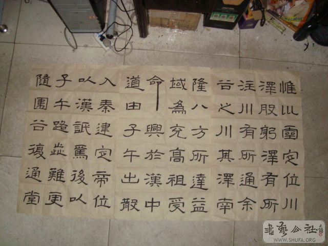 DSC00764.JPG