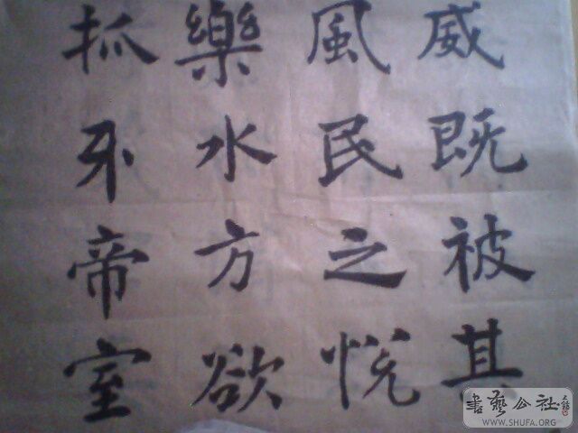 IMG0186A.jpg