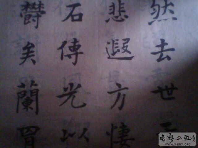 IMG0193A.jpg
