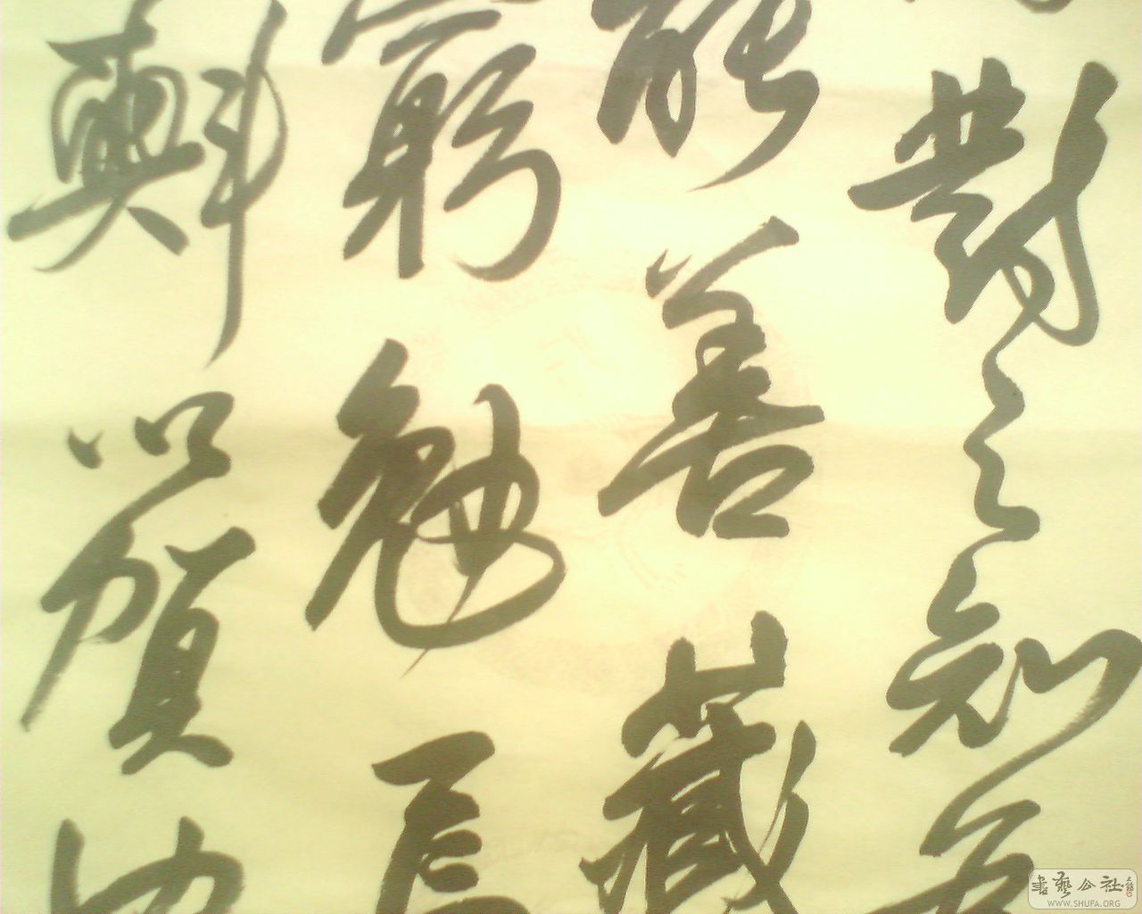M20080708025.jpg