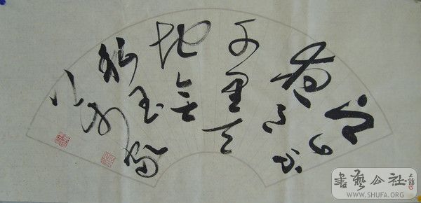 5394467928660267834.jpg
