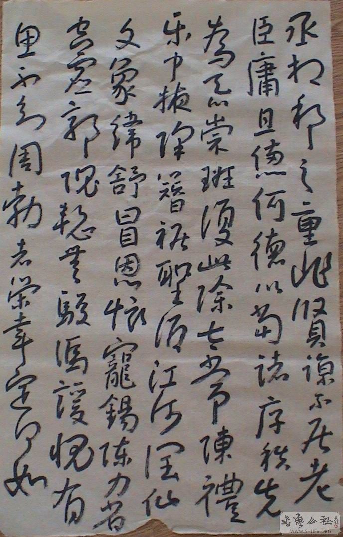 DSC06973.JPG