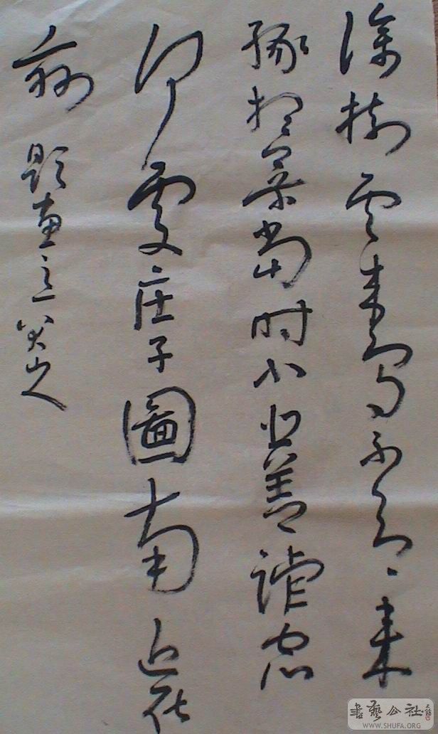 DSC06972.JPG
