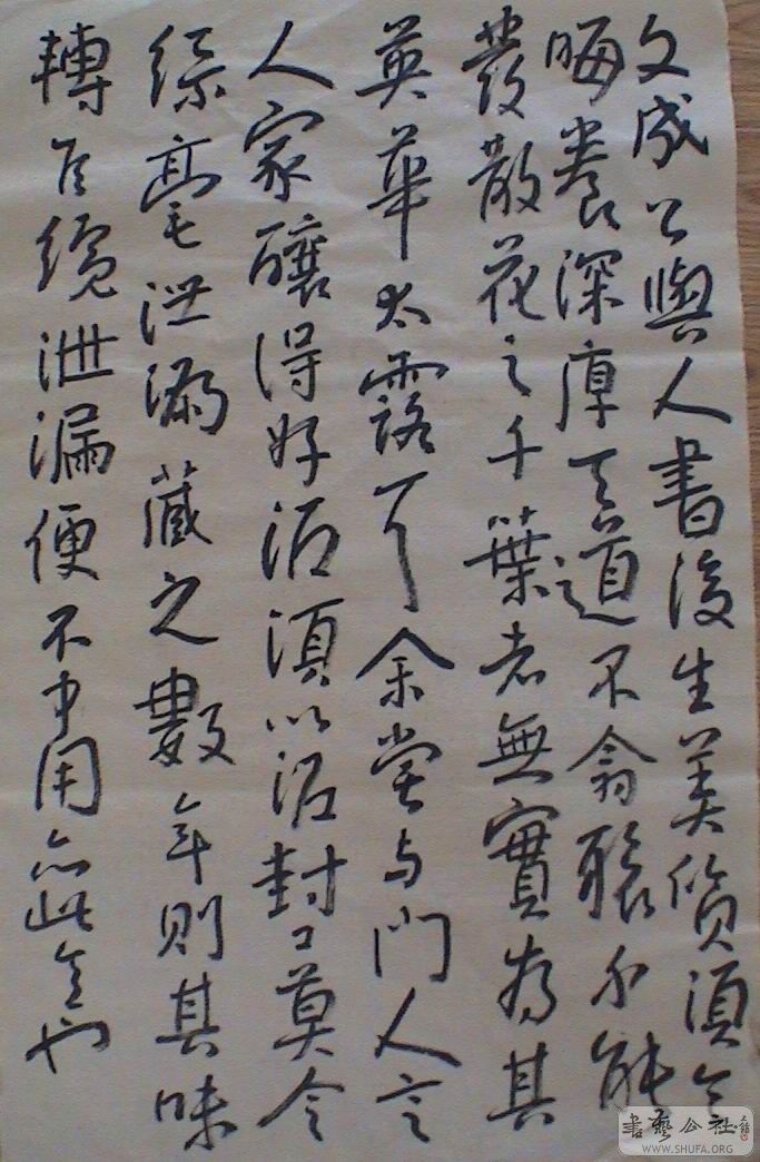 DSC06976.JPG