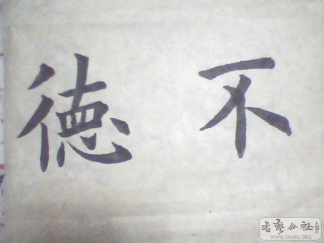 IMG0292A.jpg