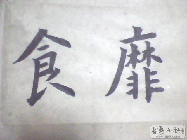 IMG0281A.jpg
