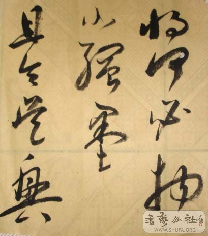 DSC03729.JPG