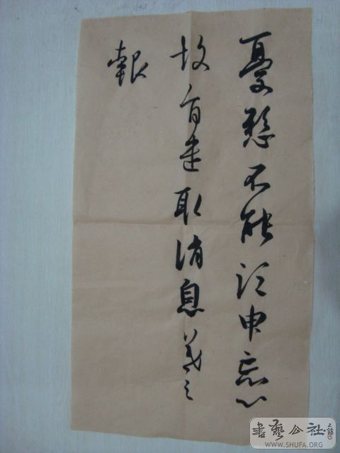 DSC00779.JPG