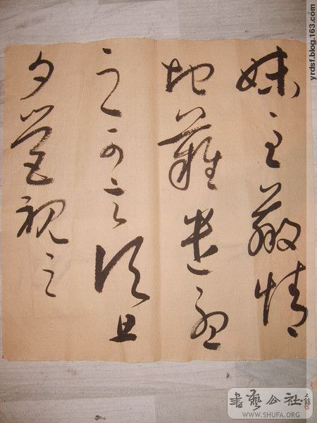 3961760297203392163.jpg