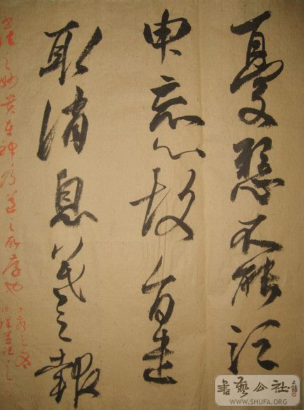1730226681841022803.jpg