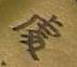 DSCN06832.jpg