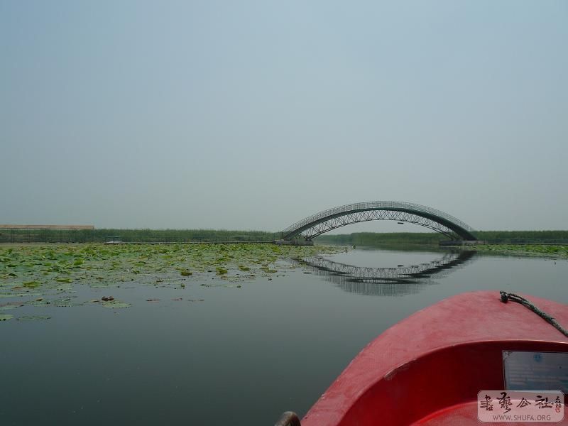 P1010613.JPG