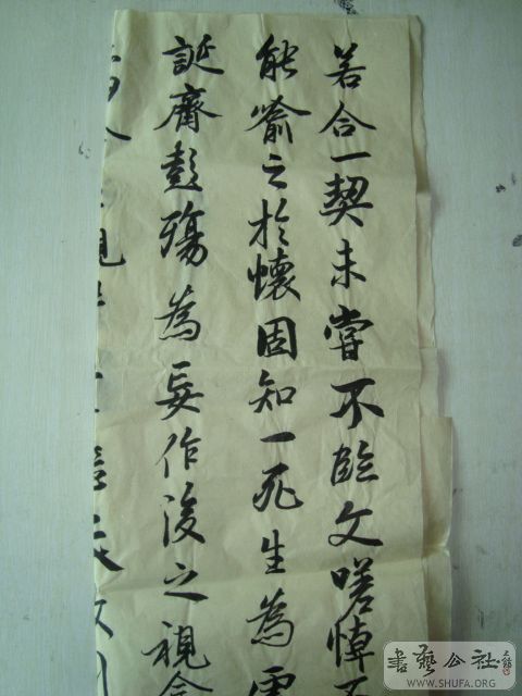 DSC00784.JPG