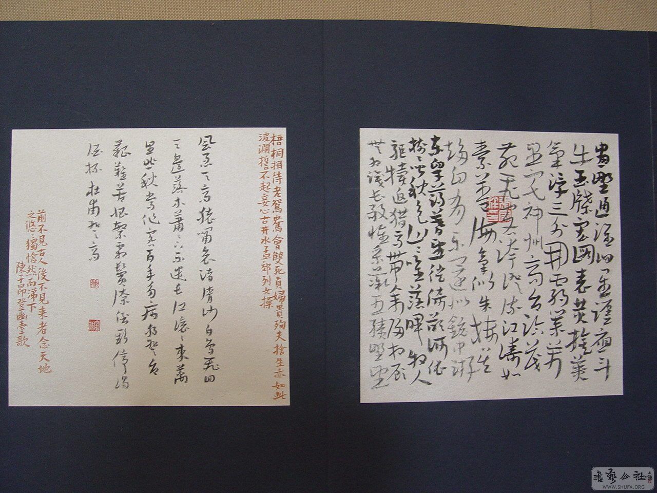 Ʒ85.JPG