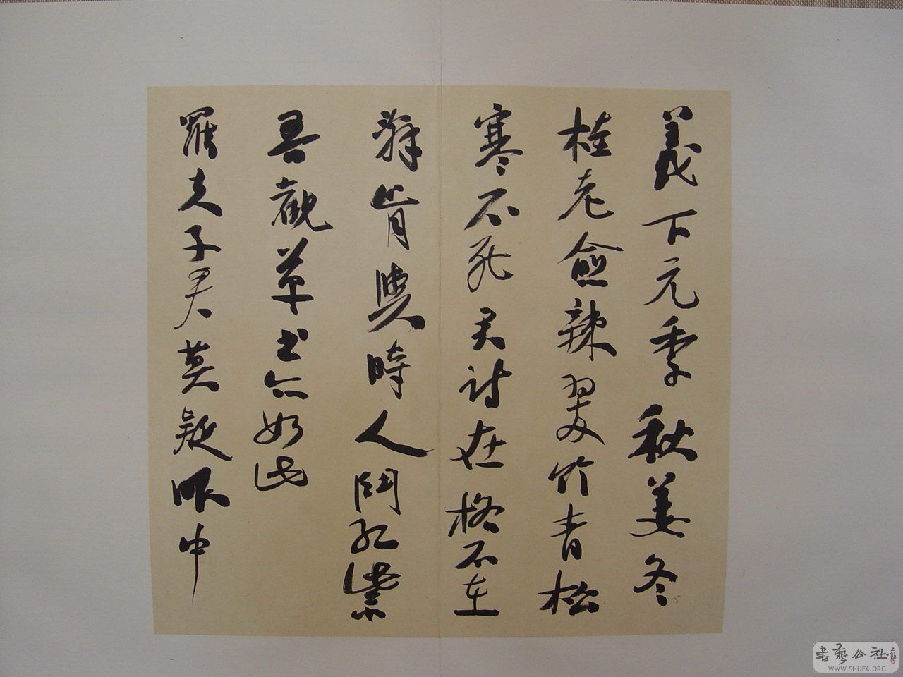 Ʒ11.JPG