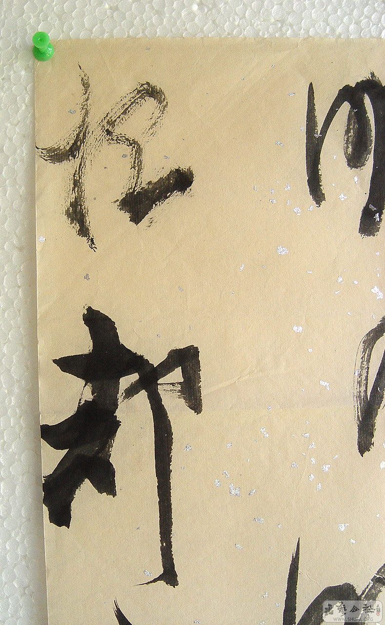 DSC00495.jpg