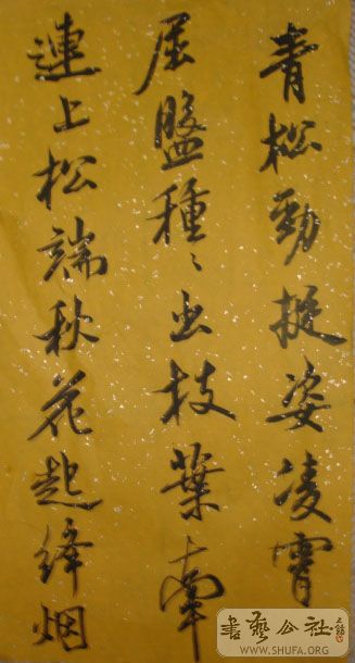 DSC03804.JPG