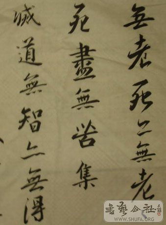 DSC03797.JPG