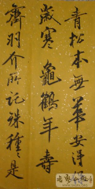 DSC03802.JPG