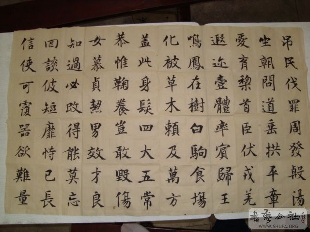 DSC00808.JPG