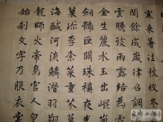 DSC00755.JPG