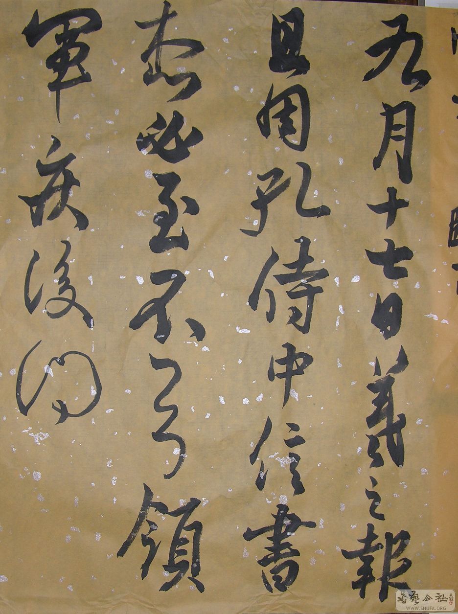 DSCN2009.JPG