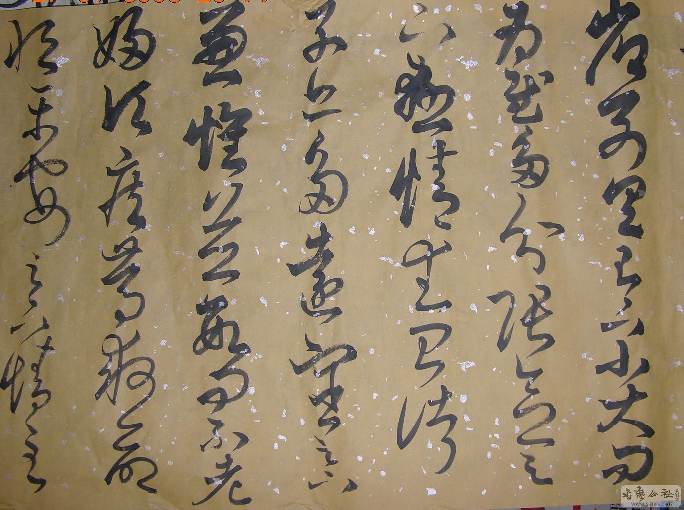 DSCN2013.JPG