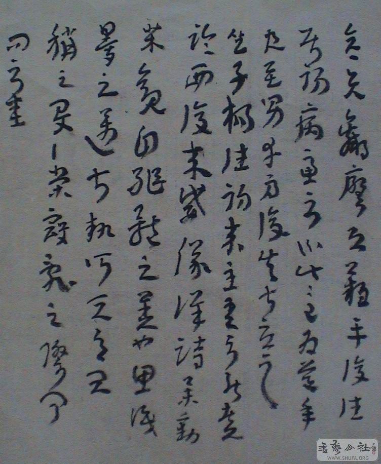 DSC06996.JPG