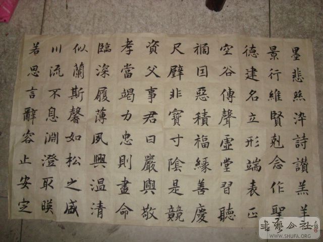 DSC00812.JPG