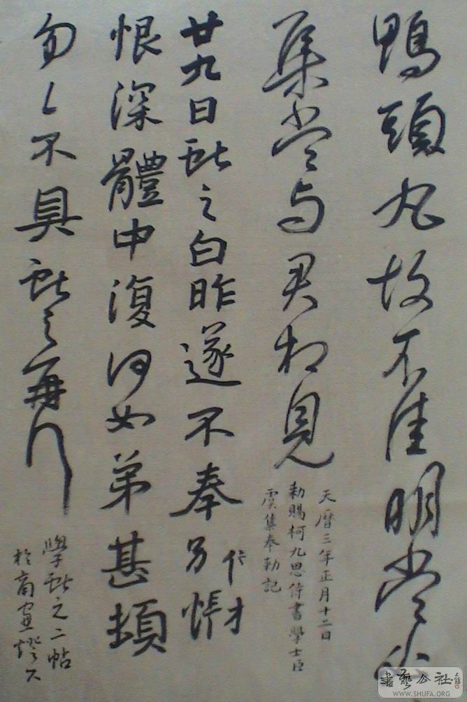 DSC07013.JPG
