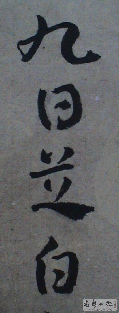 DSC06995.JPG