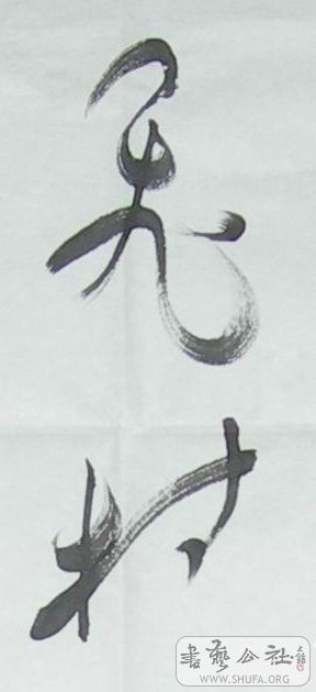 DSCN68742.jpg