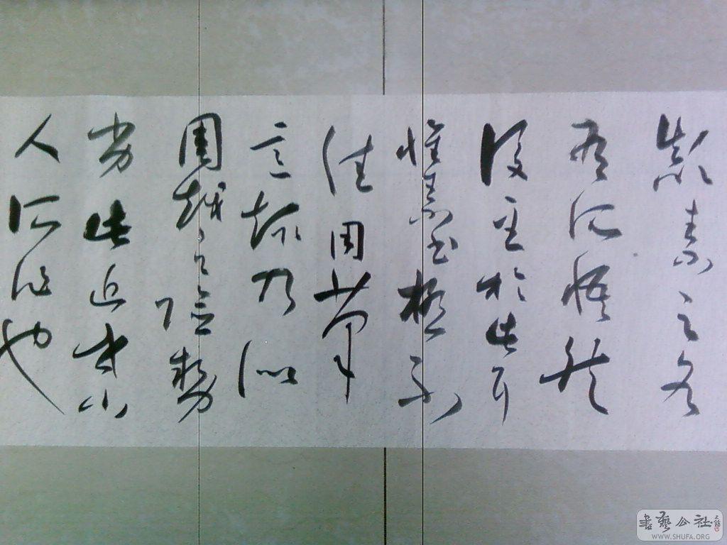 SP_A0633.jpg