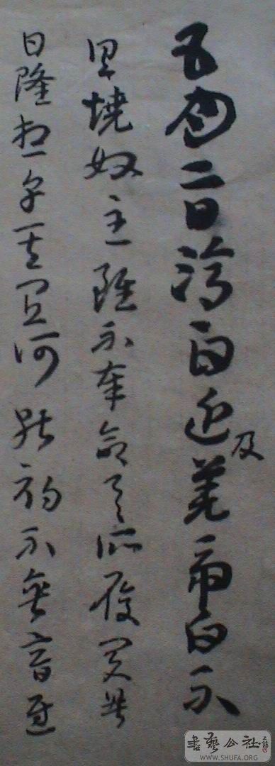 DSC07005.JPG