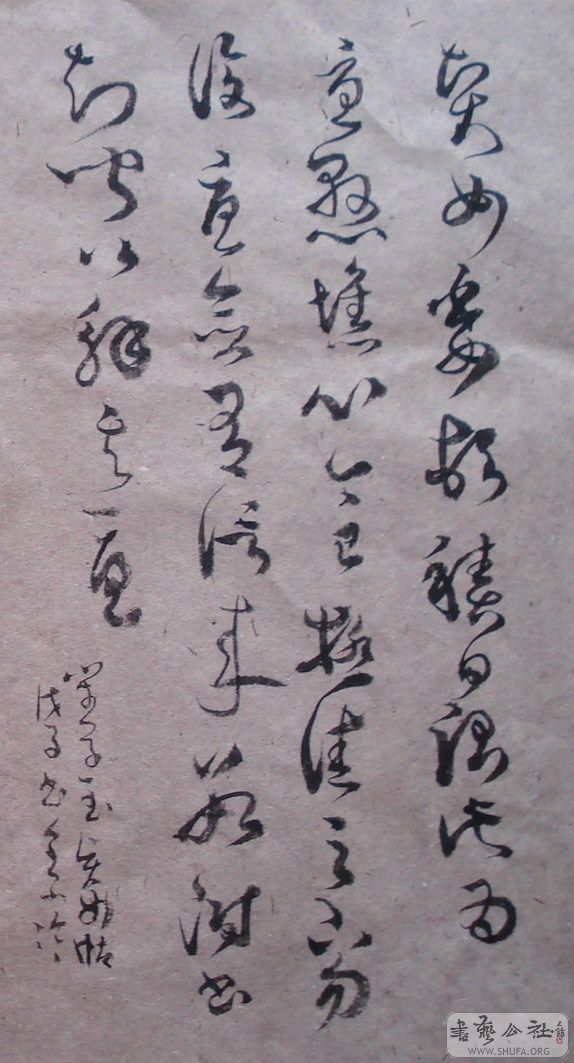 DSC04229.JPG