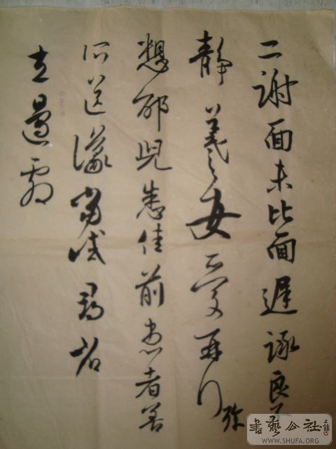 DSC00824.JPG