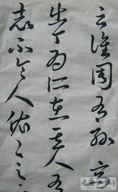 08.jpg