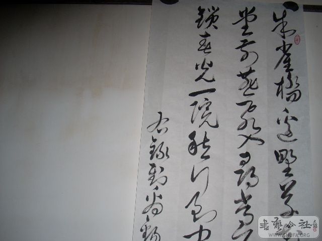 ƬL11 054.jpg